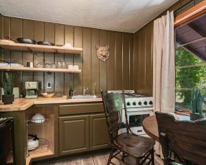 Cabin 18-10