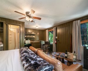 Cabin 18-11