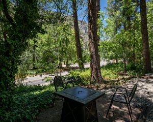 Cabin 18-4