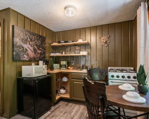 Cabin 18-9