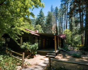 Cabin 20 Exterior-3